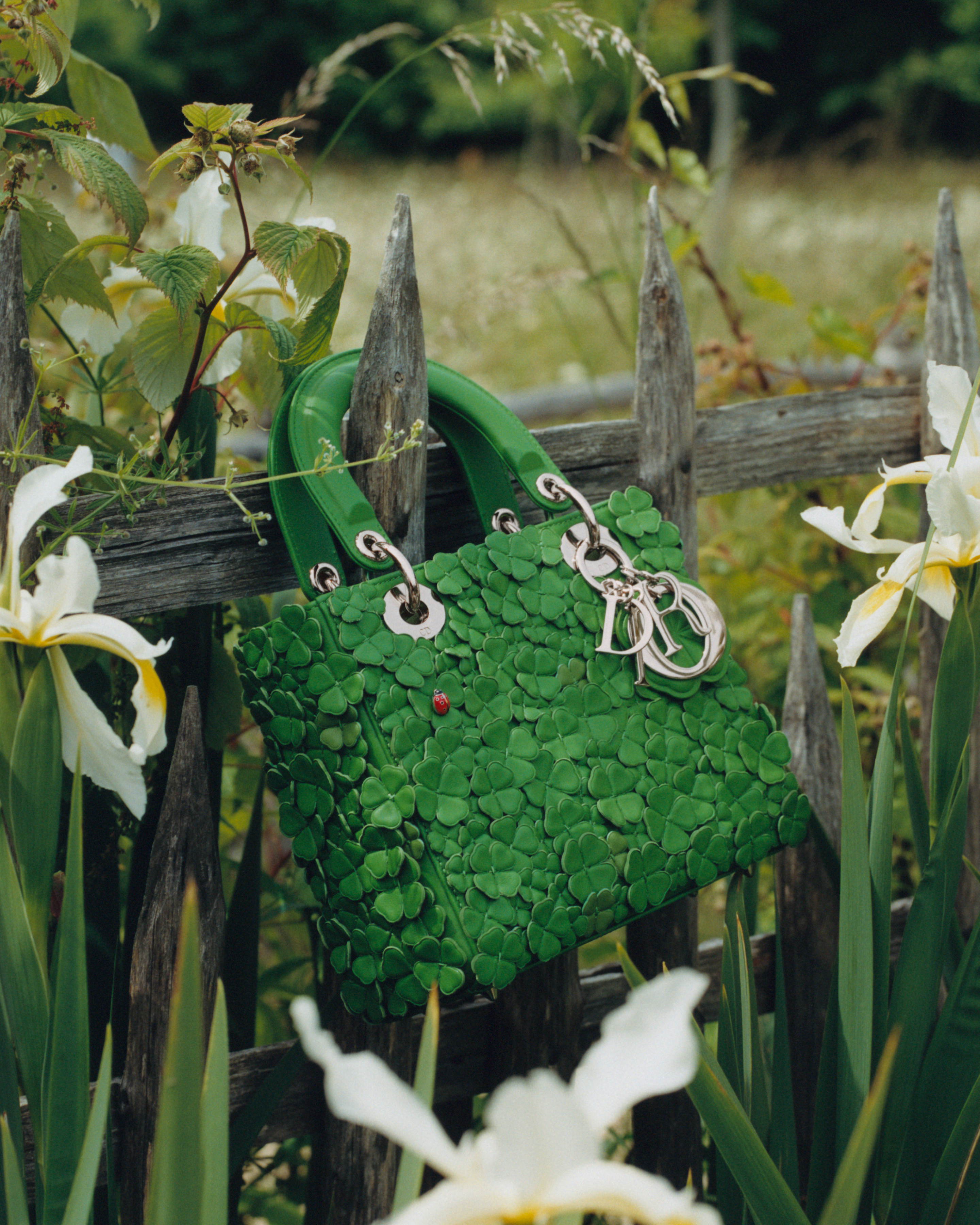 New Year, New Versions of Lady Dior Bag