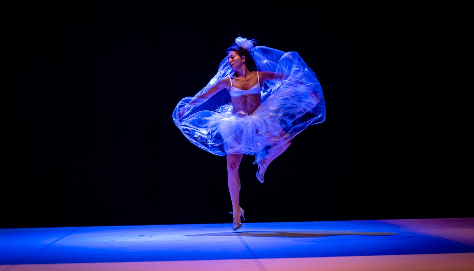 A ballet dancer, wearing a wide nylon skirt, dances on the tip of her right foot. The left leg, bent, is pointed towards the other leg.