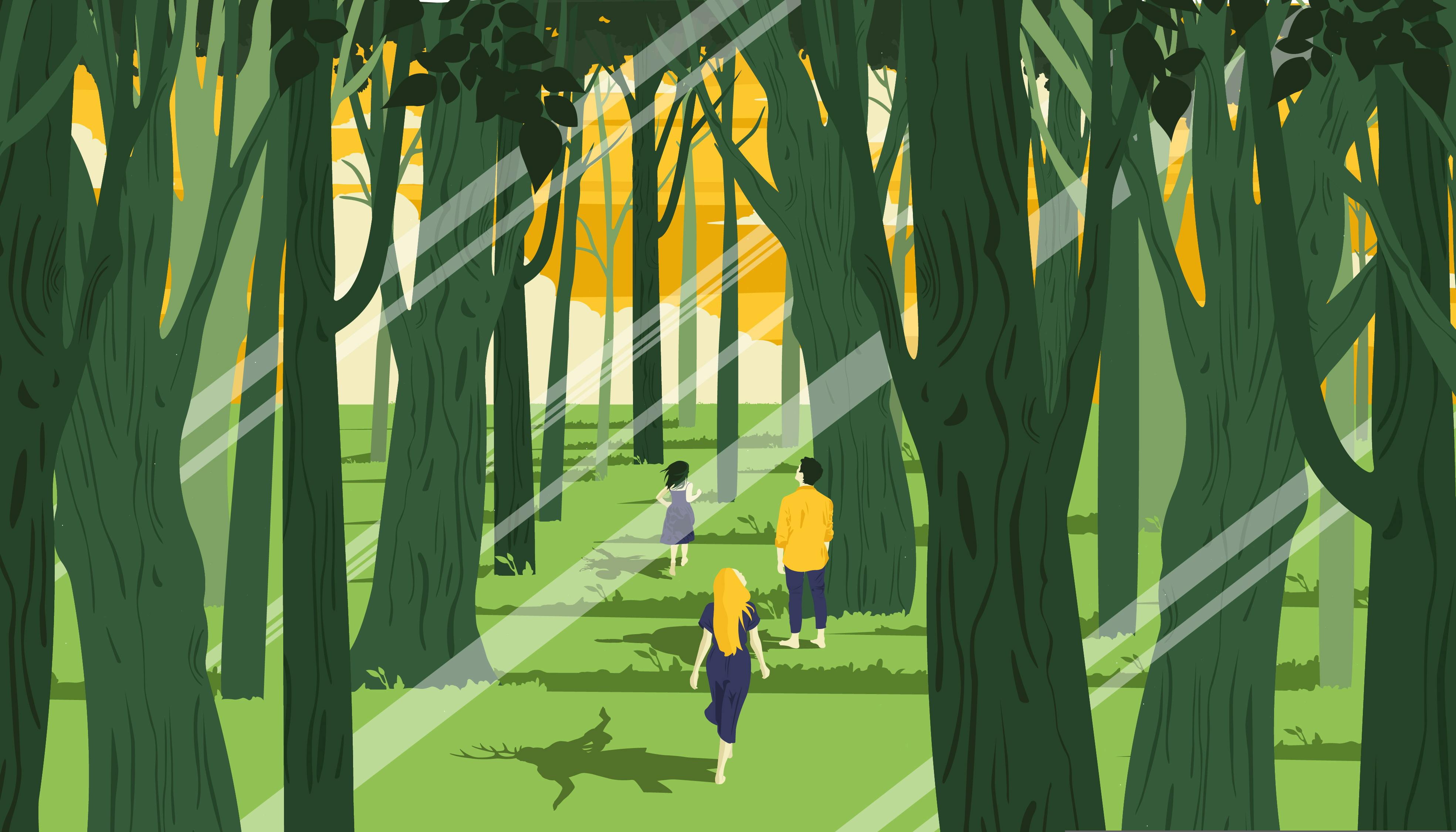 L'illustrazione mostra un bosco al tramonto. Tre ragazzi lo attraversano camminando; guardano verso l'orizzonte, li vediamo di schiena. Le ombre che proiettano sul terreno mostrano esseri incantati, a metà tra rito e magia.