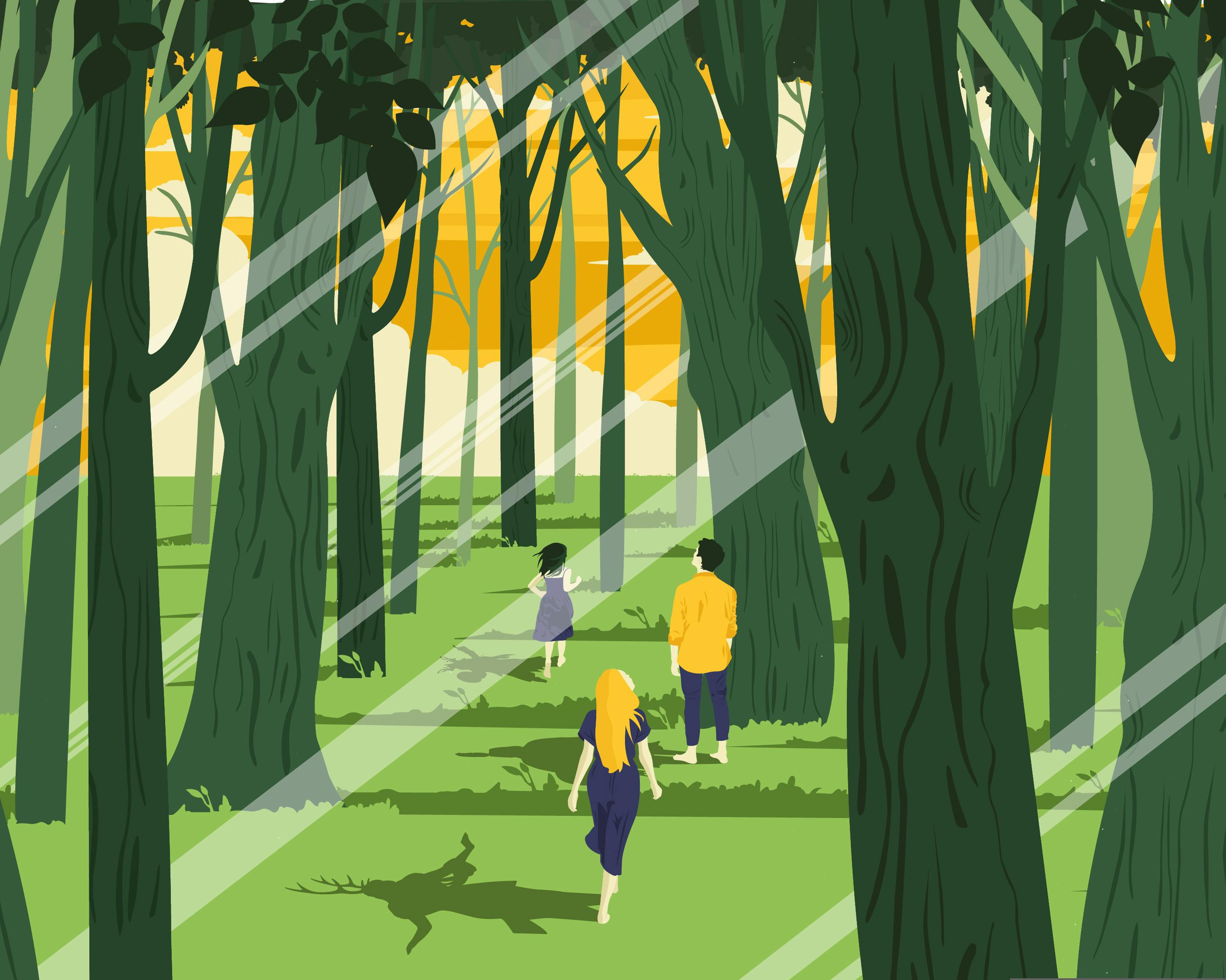 The illustration depicts a forest at sunset. Three young figures are walking through it; they are looking towards the horizon, we see their backs. The shadows they cast on the ground reveal enchanted beings, somewhere between ritual and magic.