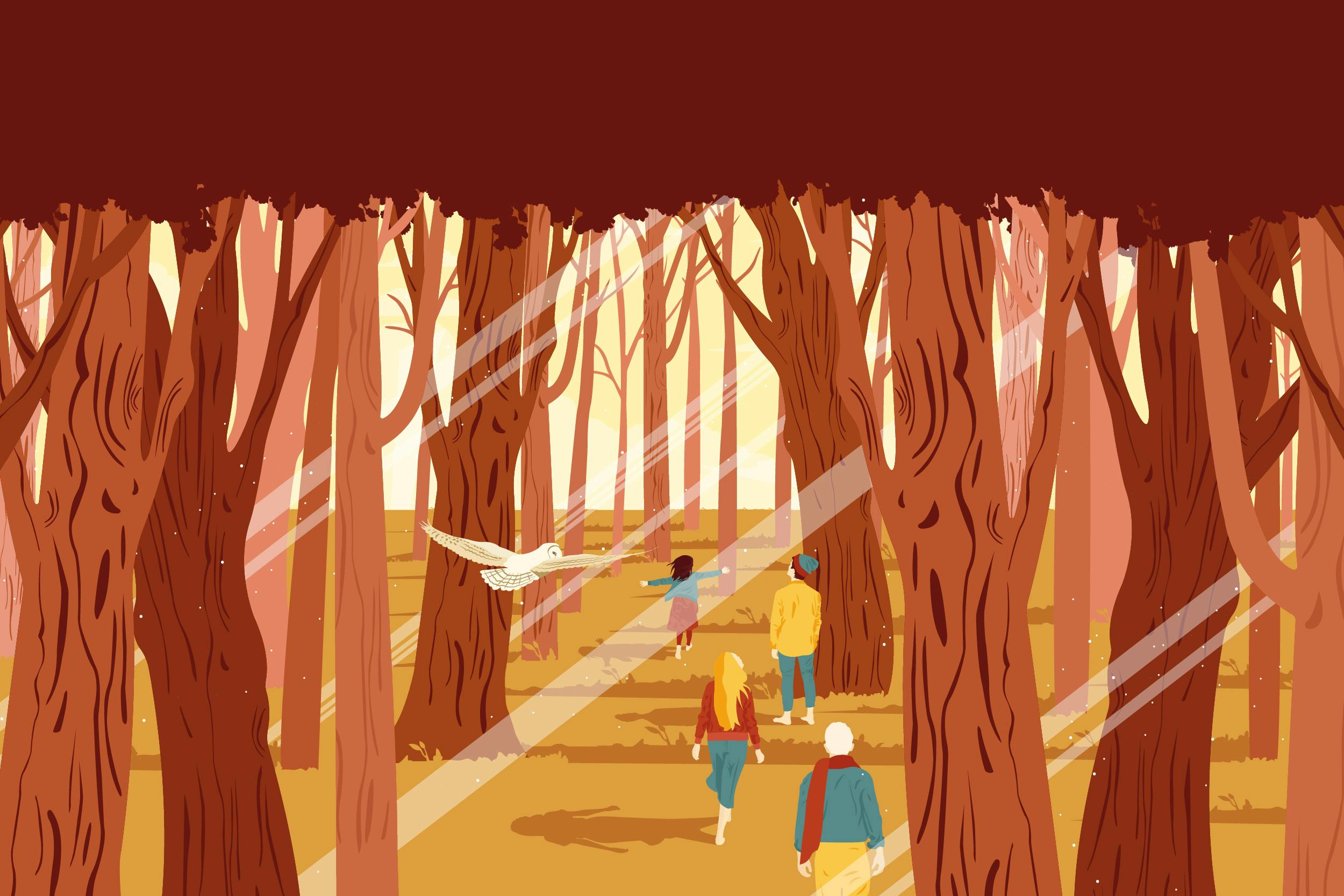 Graphic representing the forest with people walking, dominant colors are orange and red