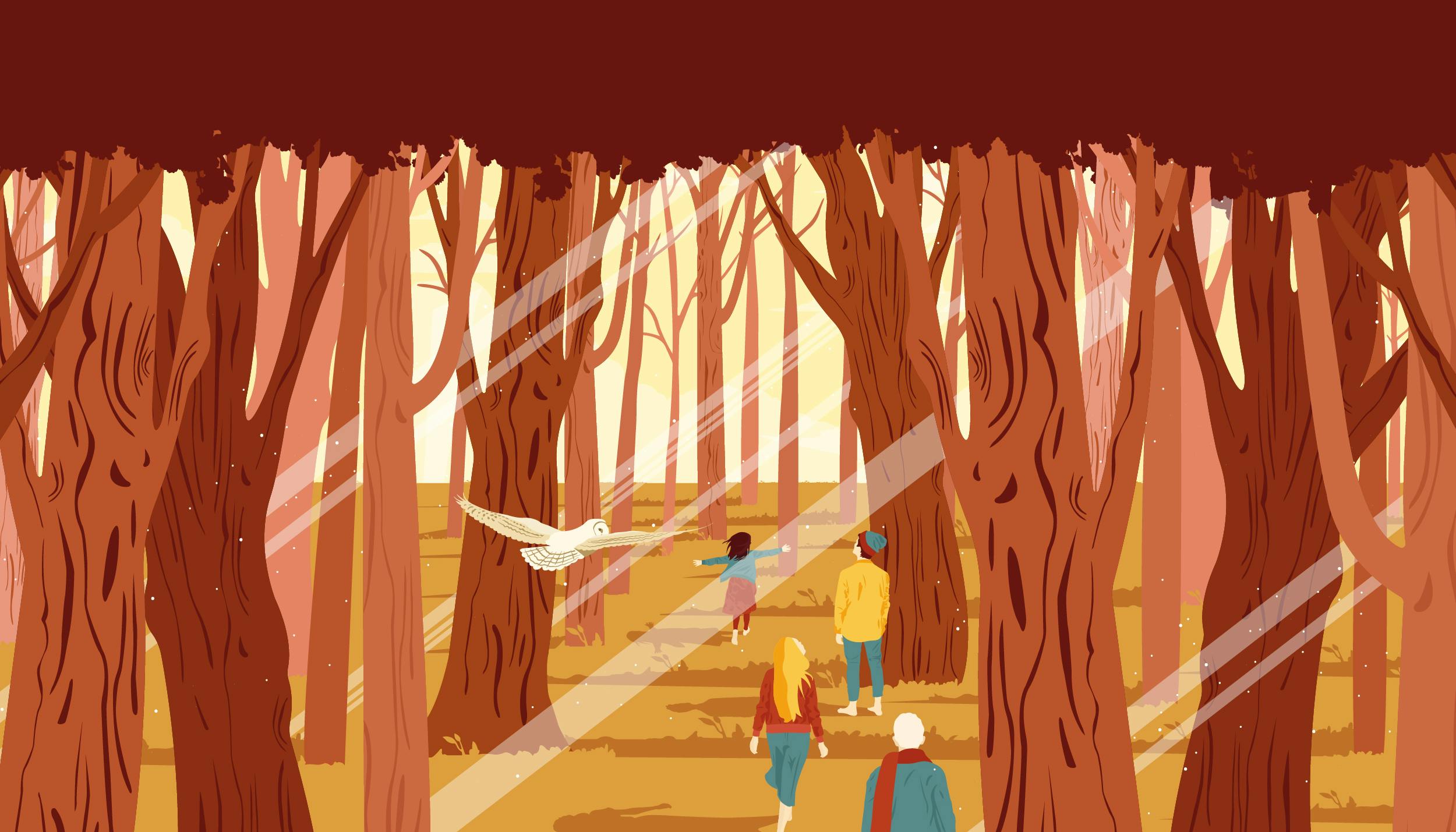 Graphic representing the forest with people walking, dominant colors are orange and red