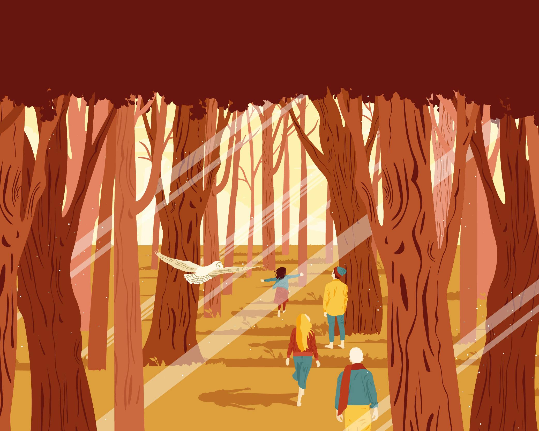Graphic representing the forest with people walking, dominant colors are orange and red