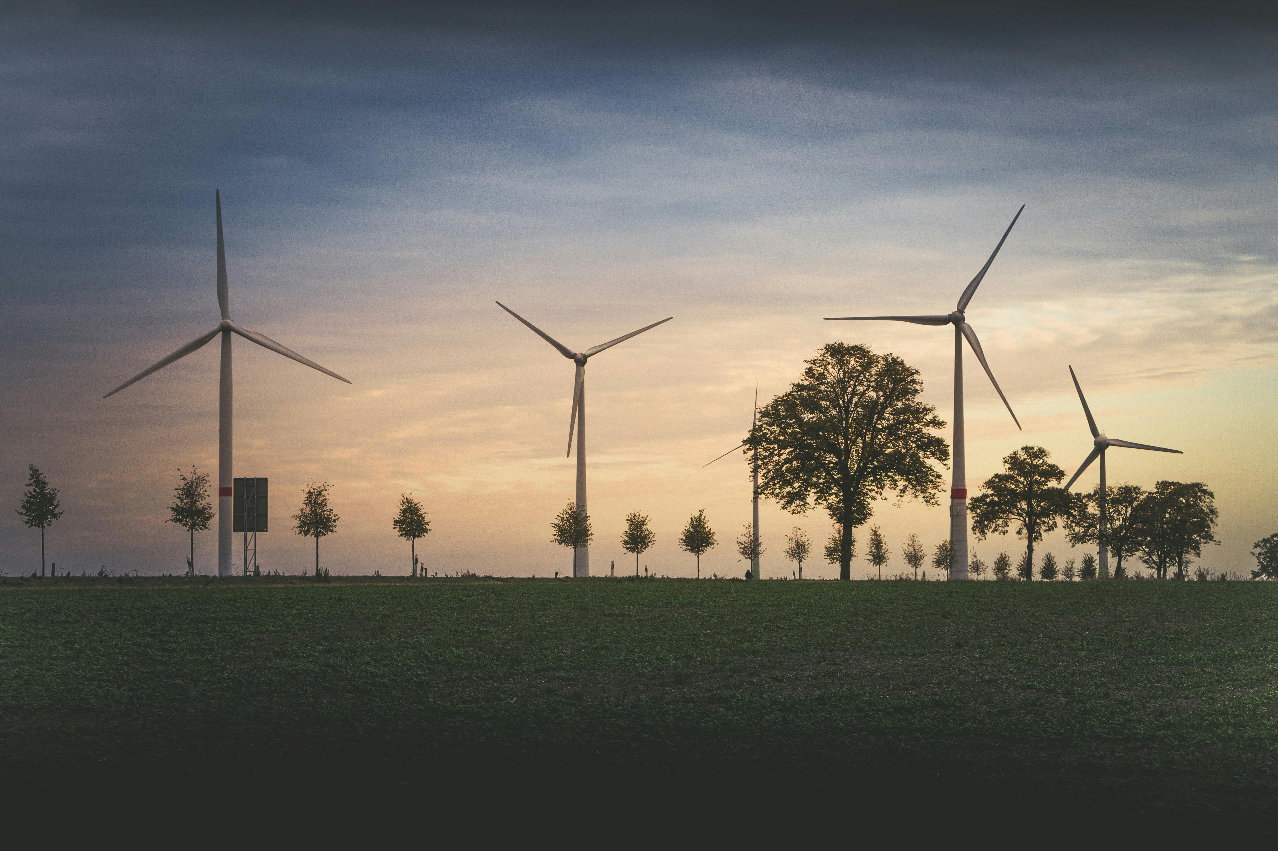 Green meadow with wind turbines 