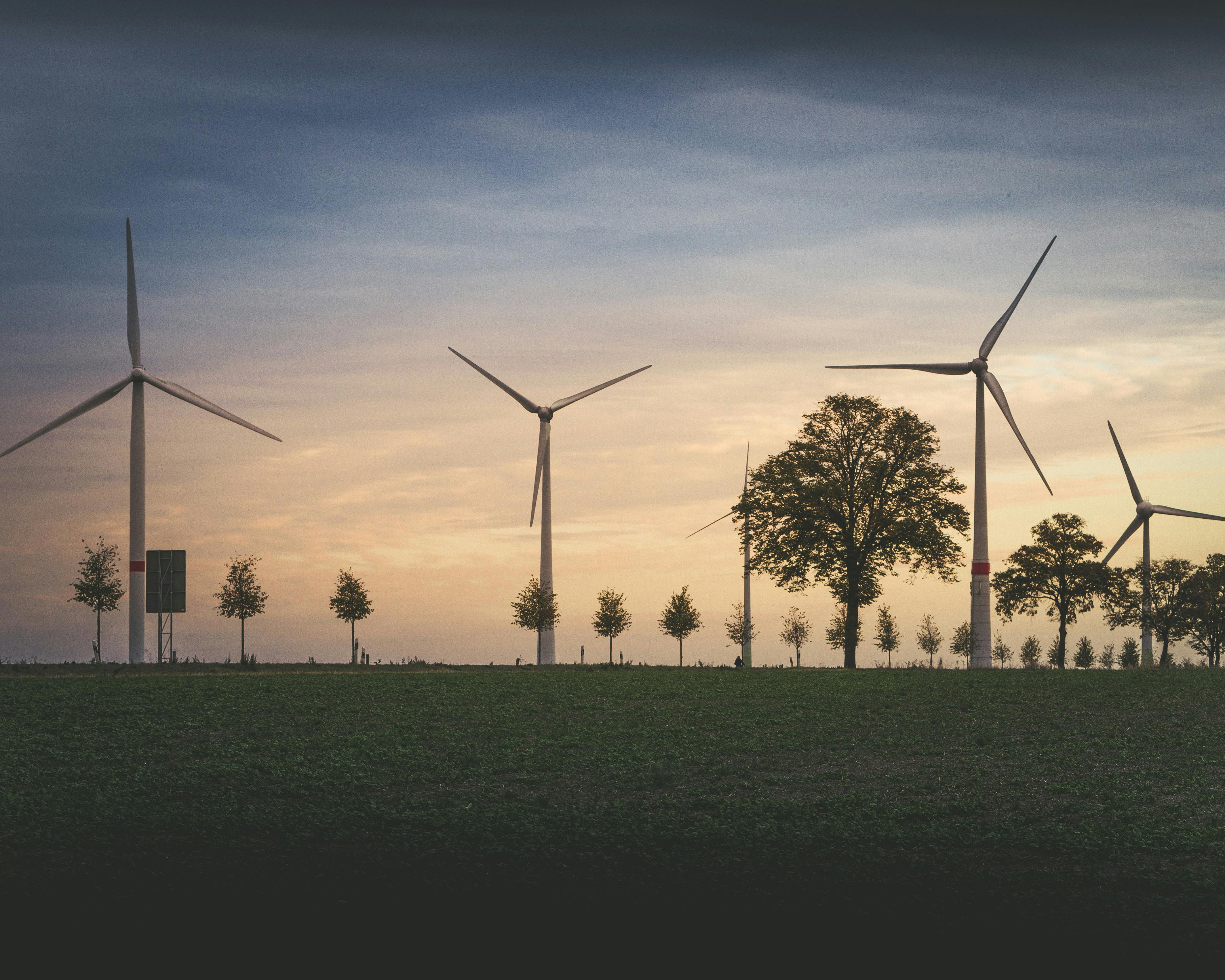 Green meadow with wind turbines 