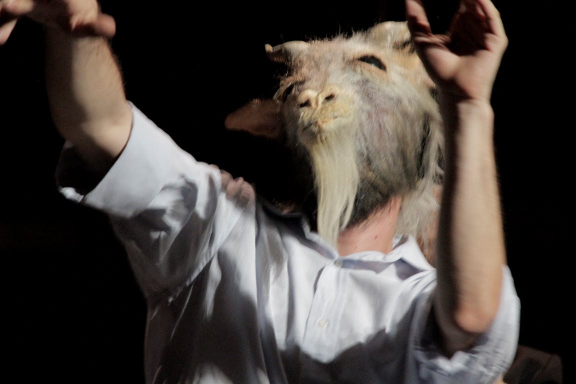 Primo piano di un interprete con camicia bianca e maschera di pecora sul volto 