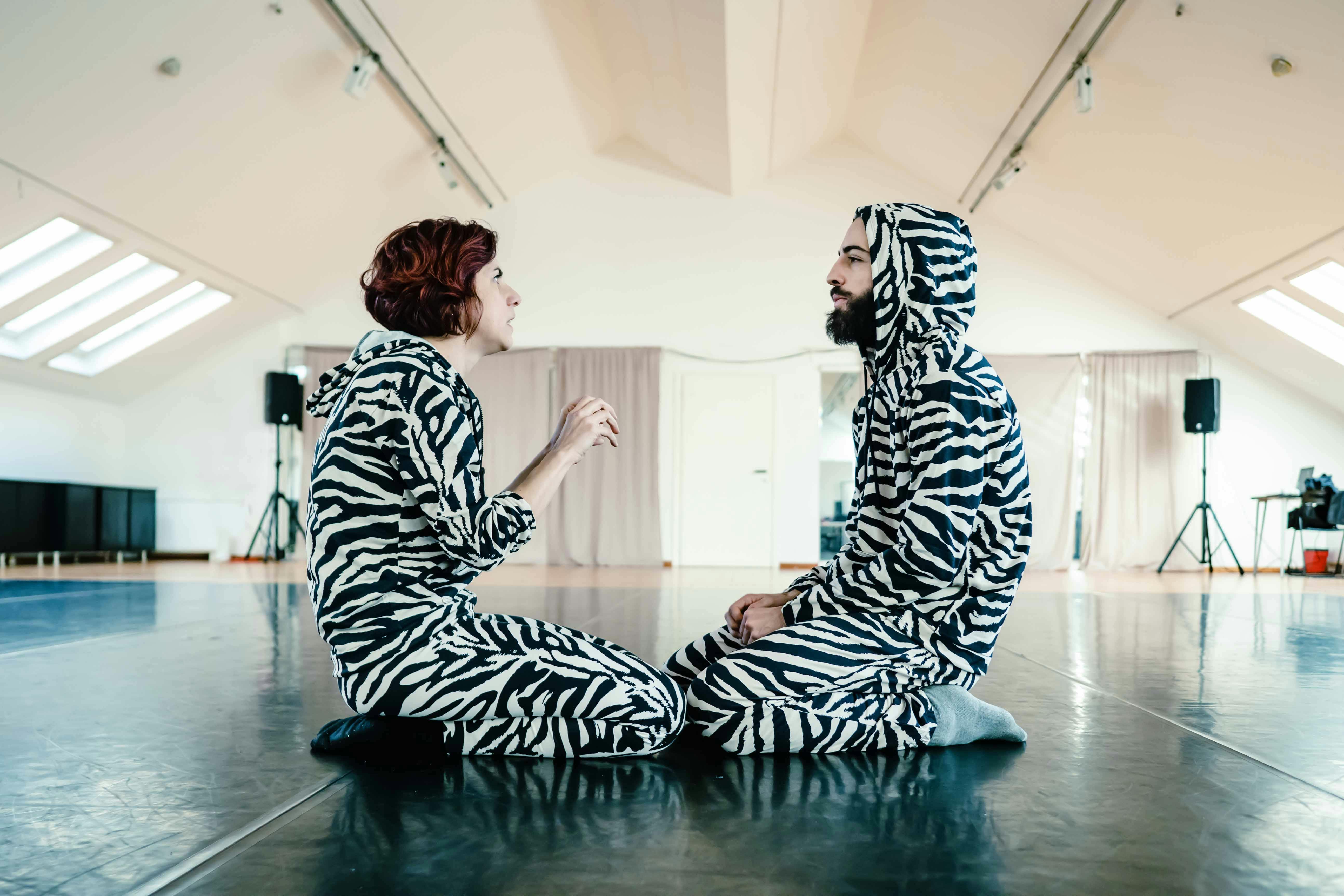Giselda e Michael vestiti con pantaloni e felpa da zebra in ginocchio uno di fronte all'altra