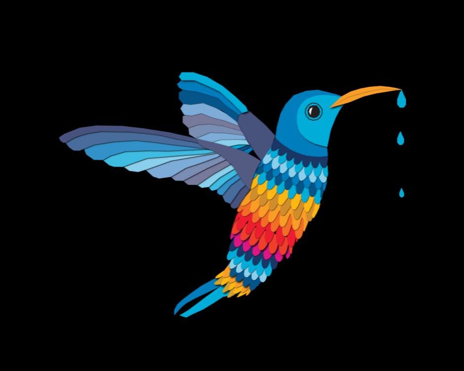 L'immagine mostra il colibrì, simbolo della campagna per la Giornata Mondiale dell'Acqua 2023