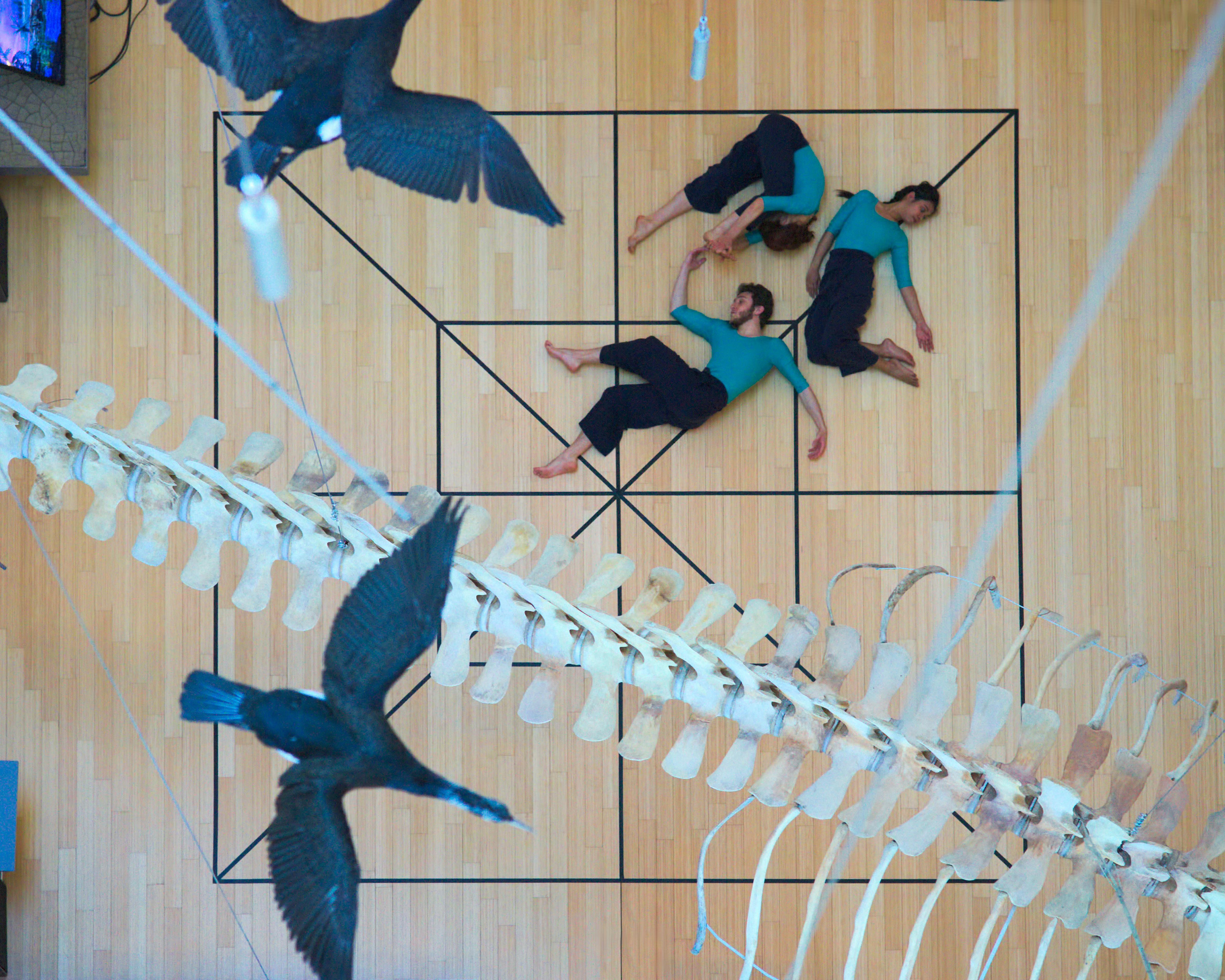 Fotografia dall'alto di un quadrato disegnato sul pavimento di un museo con due danzatrici e un danzatore sdraiati sul disegno