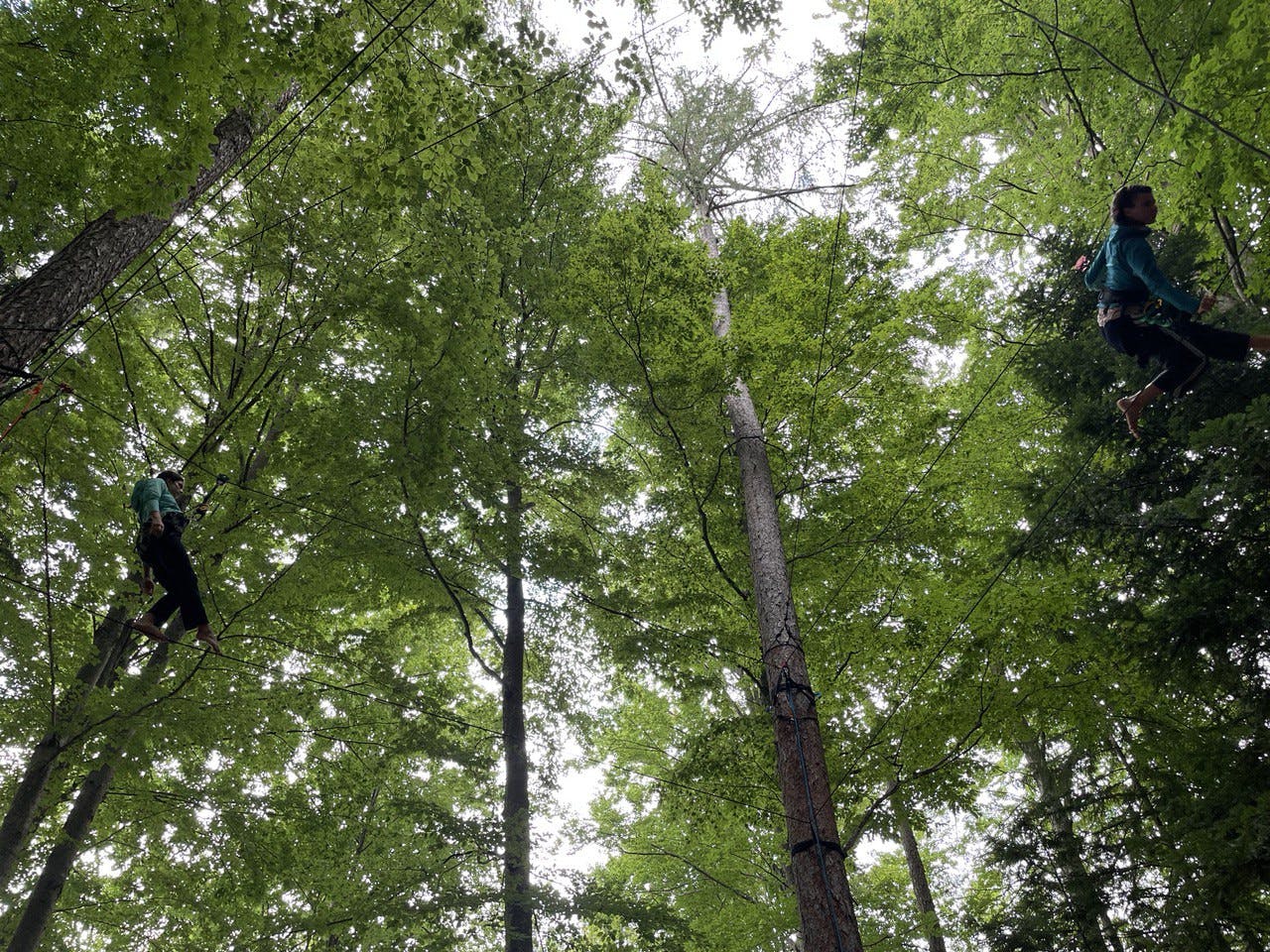 Due interpreti sospese tra alberi