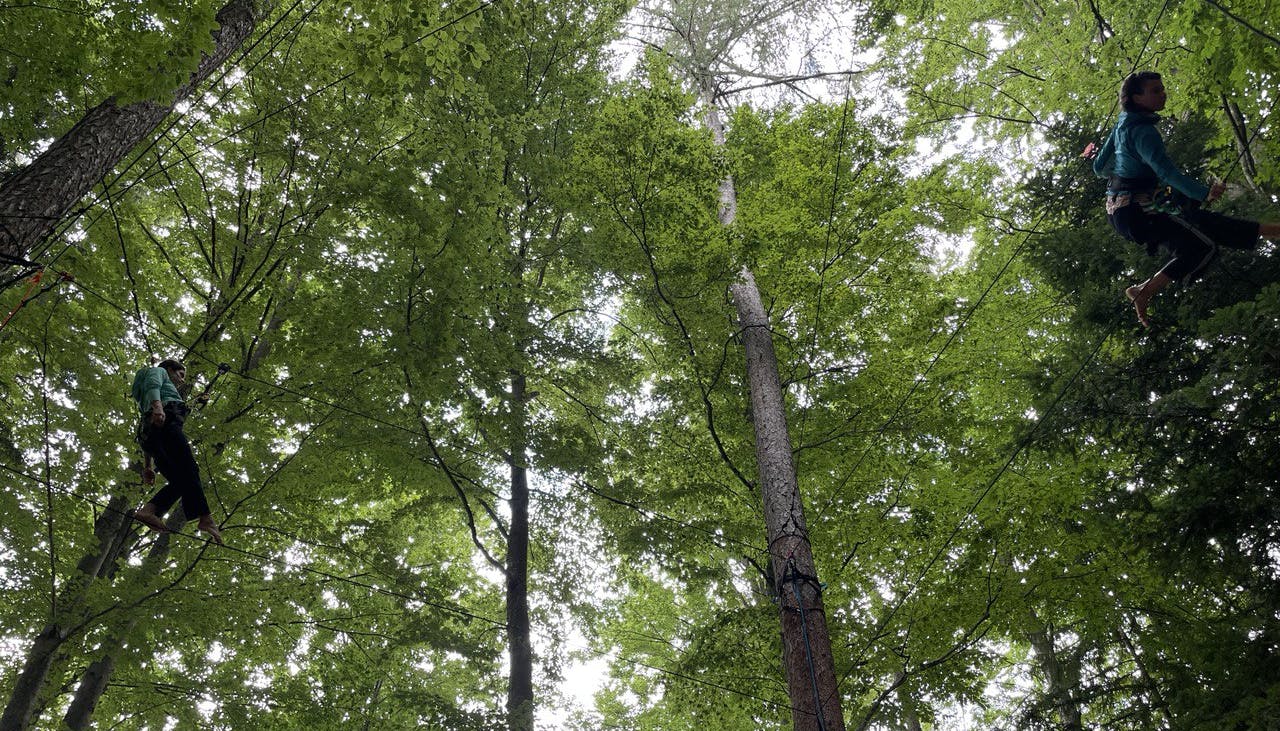 Two interpreters suspended between trees