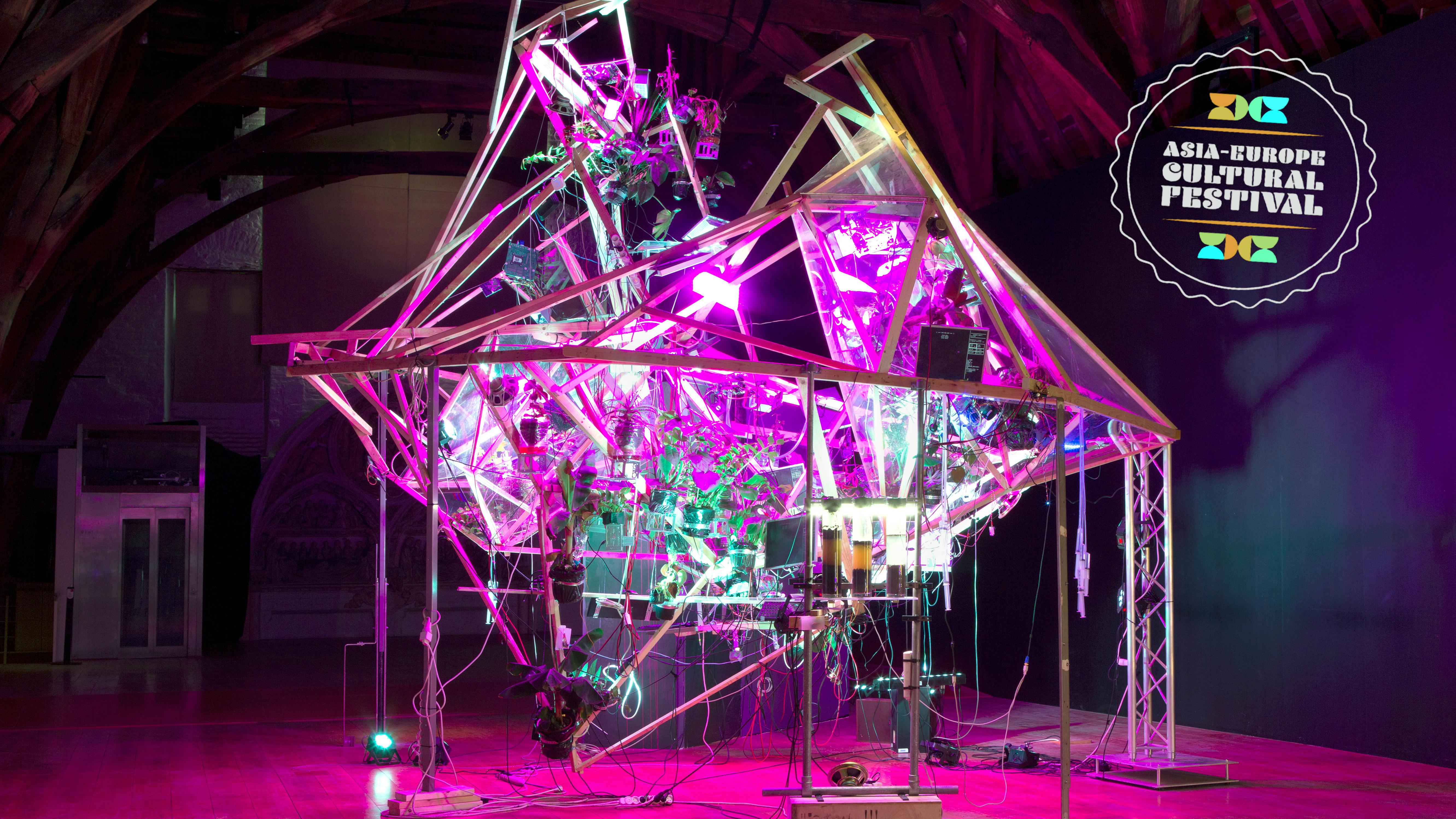 BIOMODD, Seads Collective | ph Angelo Vermeulen Photograph of installation combining plants and natural elements with technology illuminated by pink lights