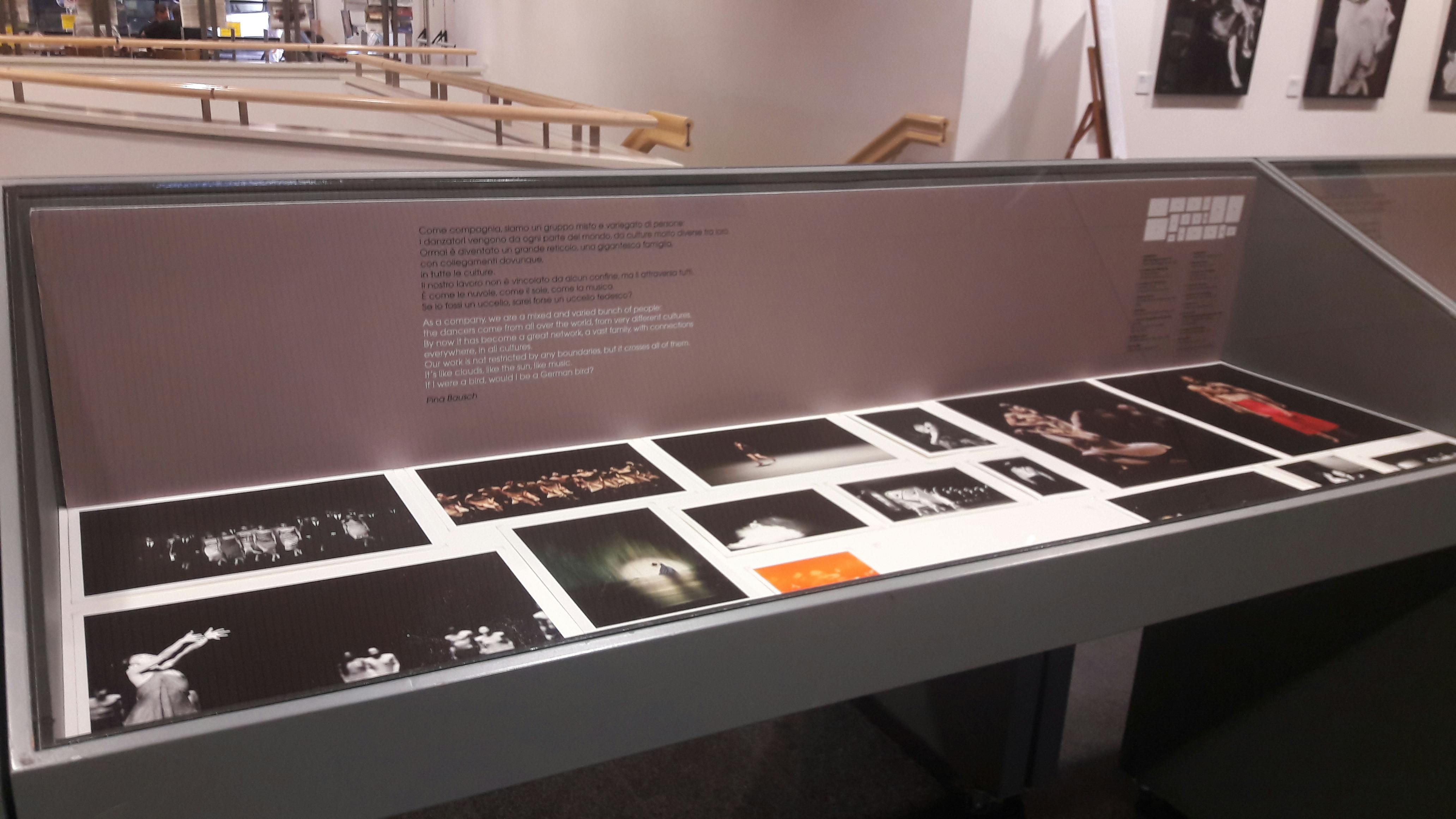 A series of photos exhibited with captions