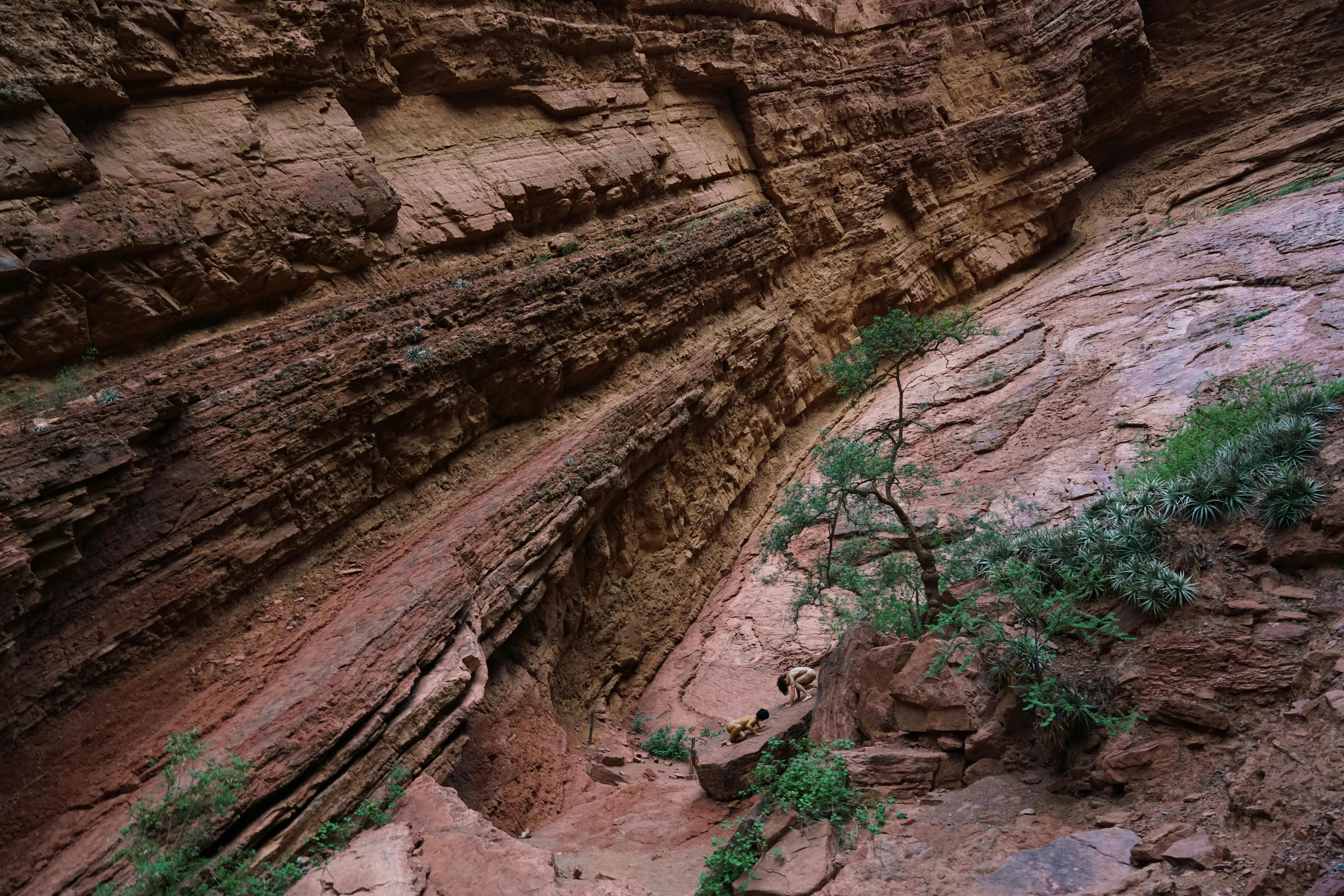 In un ambiente simile a un canyon, due piccole figure di persone nude stanno accovacciate sotto un albero