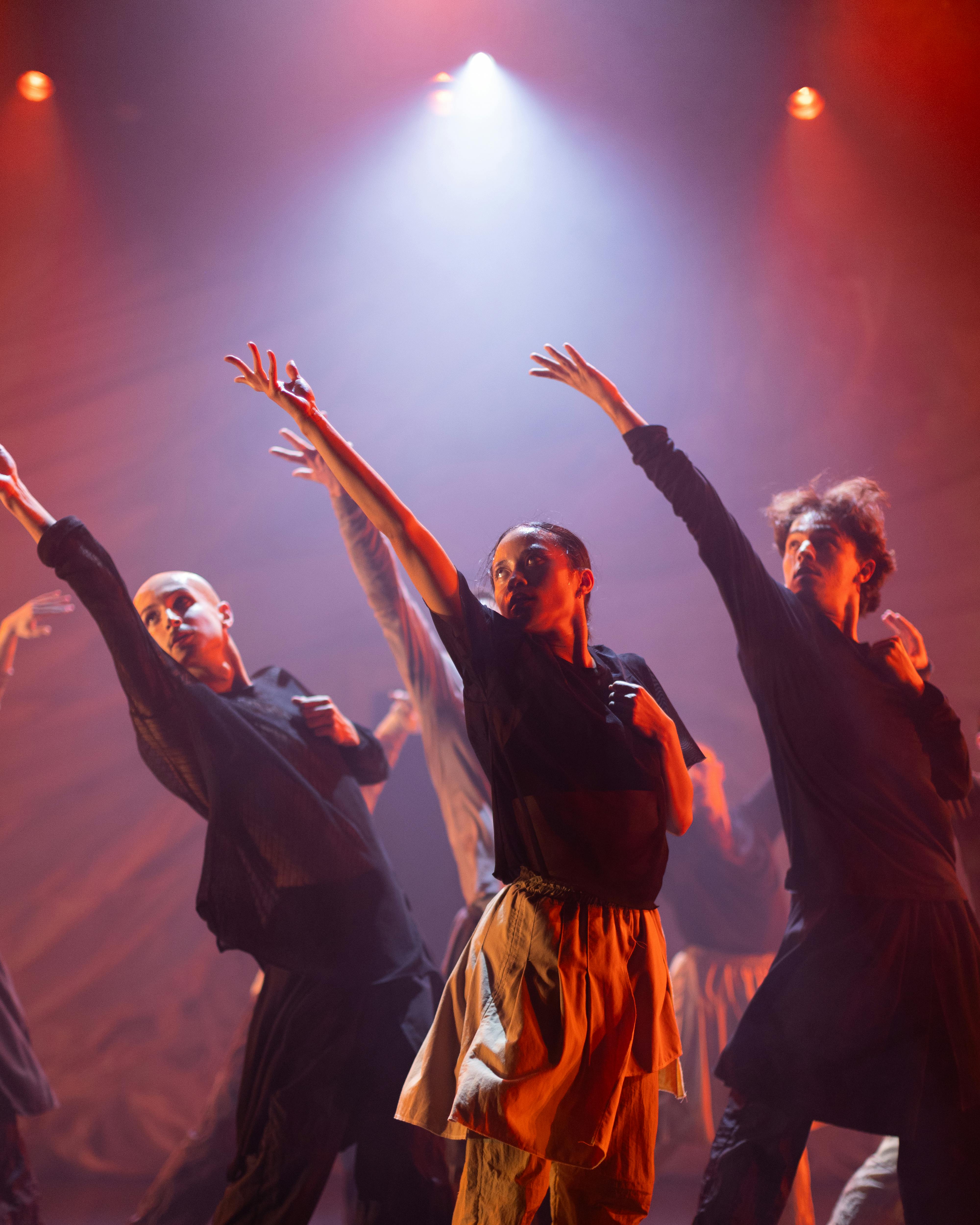 Some dancers dressed in dark clothes are on a stage with warm and cold lights. They are all in the same position, with the left hand brought closed on the chest and the right hand open and the arm stretched upwards