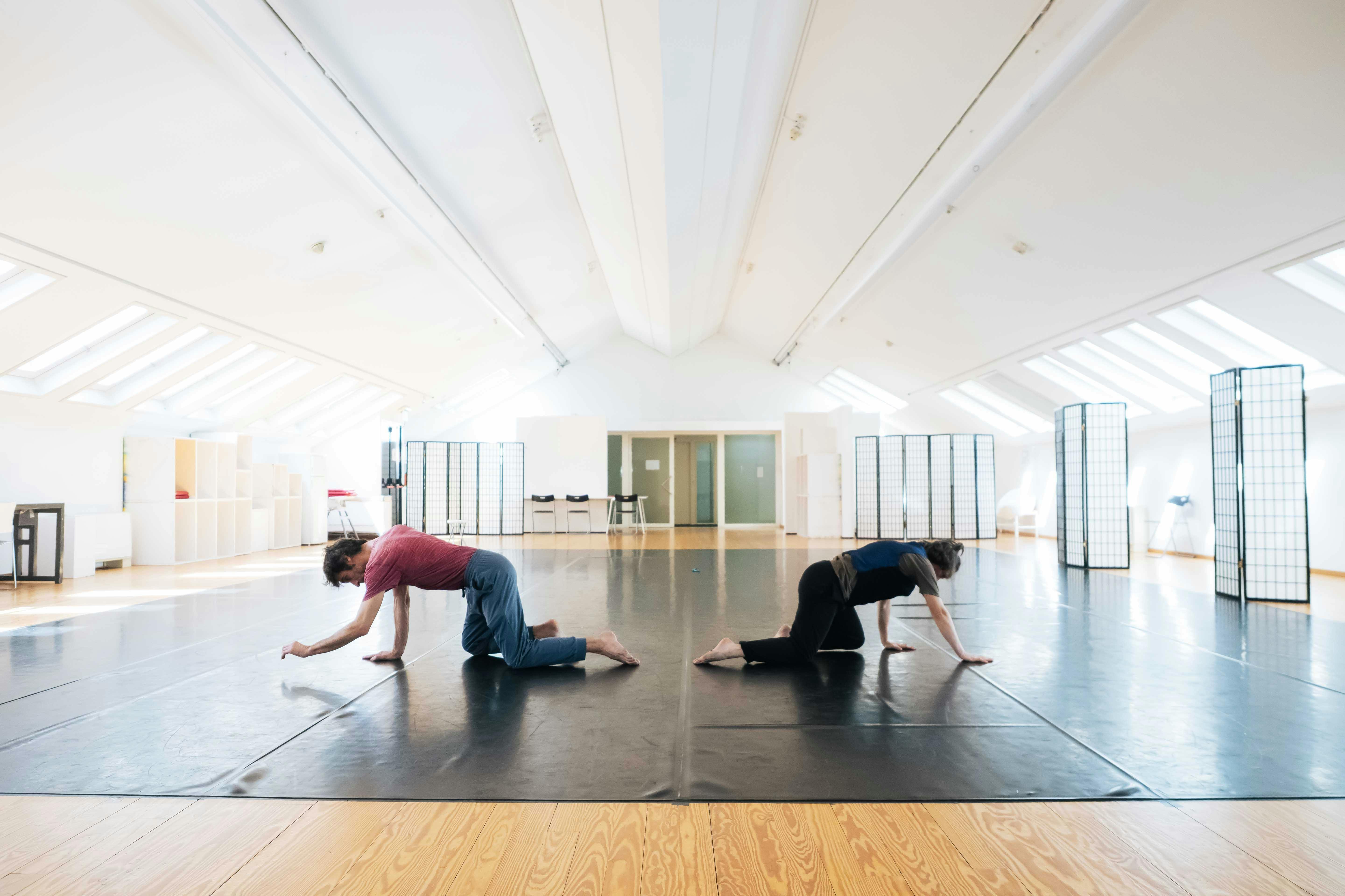Gennaro Lauro and Silvia Mai on all fours crawling in opposite directions