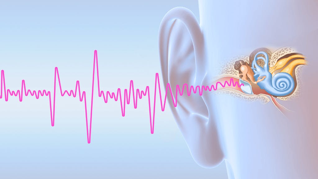 Illustration of sound waves entering the ear and reaching the eardrum.