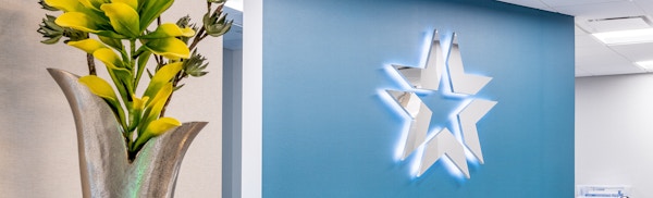 pink flowers and star art on a wall