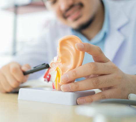 Man holding a 3D representation of an ear