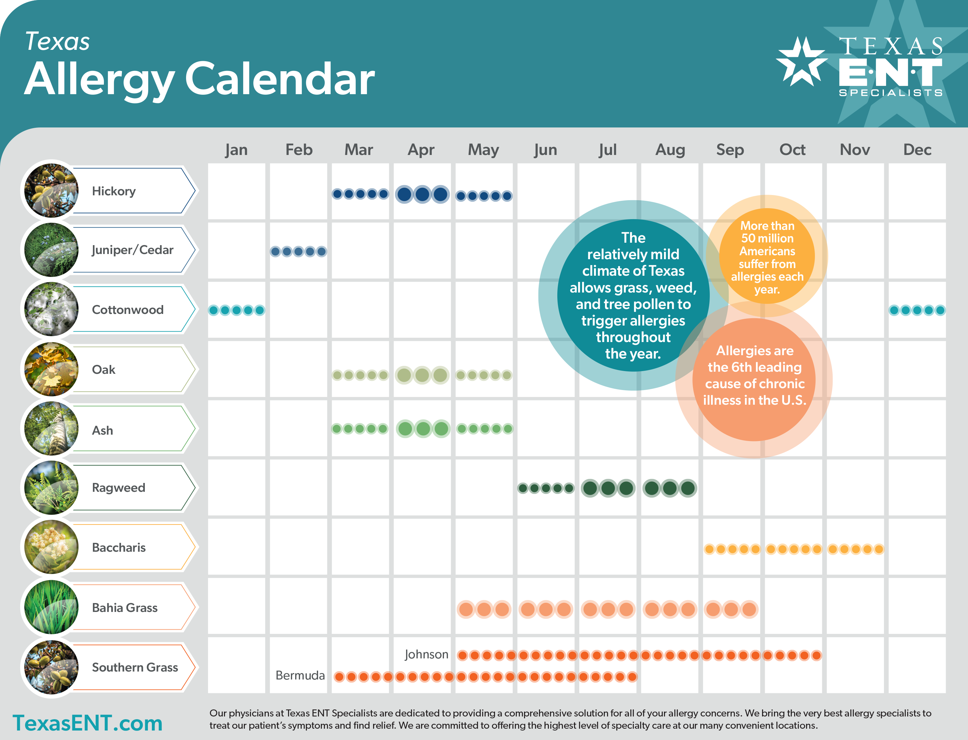 an image showing an allergy calendar
