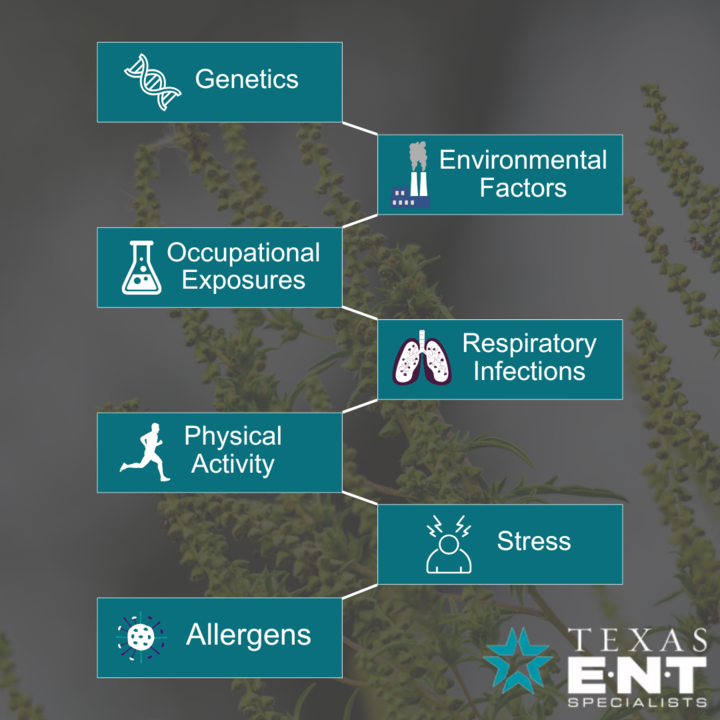 Infographic showing the causes of asthma