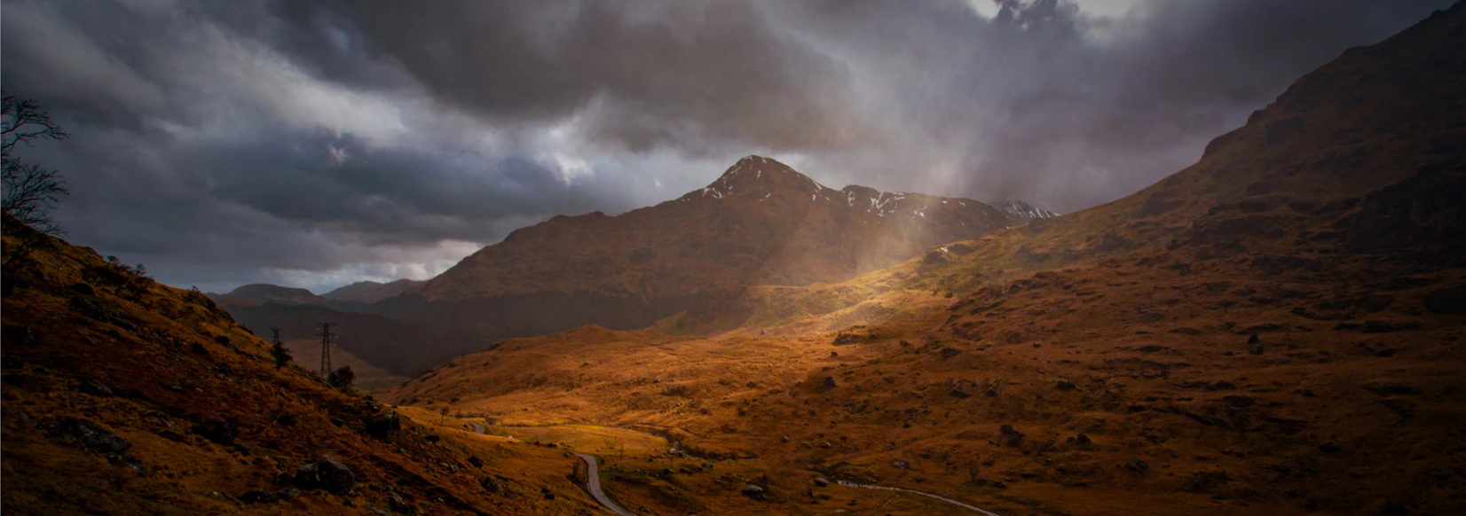 Scotch Whisky Investors Club Scotch Whisky Investments