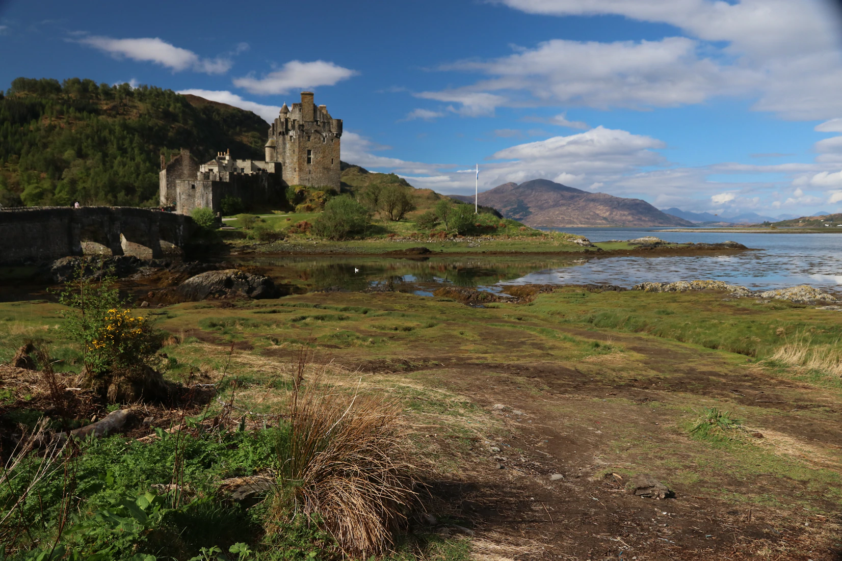 Scotch Whisky Invesments Investors Club