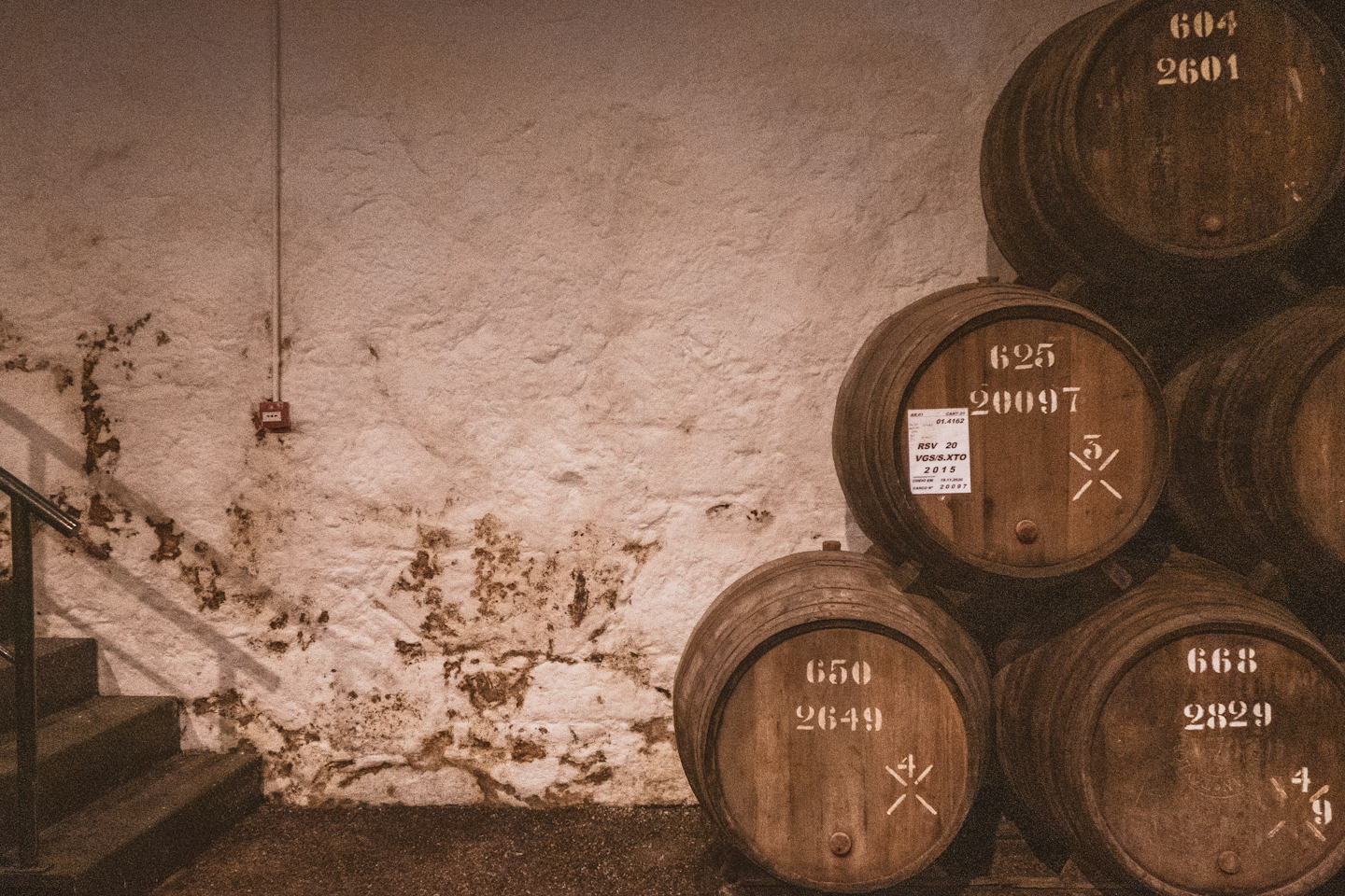 Immerse yourself in the fascinating world of whisky