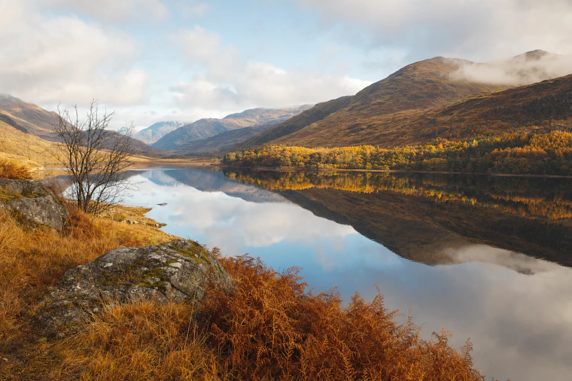 Loch reflection with autumn bracken