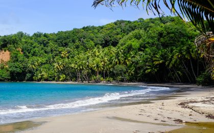 Go Dominica Adventure Guides-