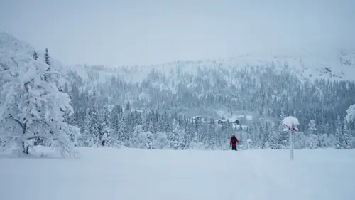 Snowshoeing Getaway in Jämtland, Sweden