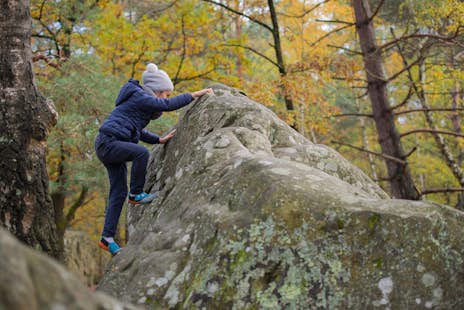 Fontainebleau Bouldering for All Levels, France