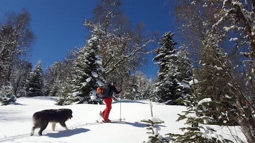 Svaneti Ski Touring in the Georgian Caucasus