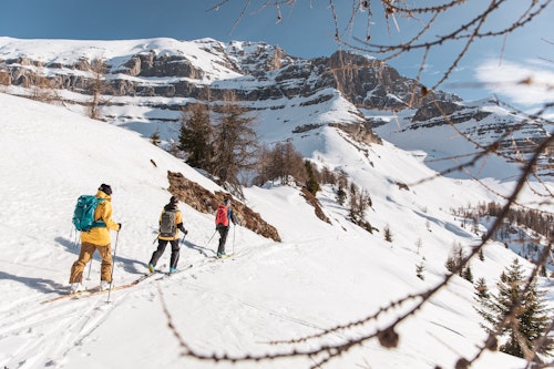 Madonna di Campiglio Ski Touring day, Brenta Dolomites