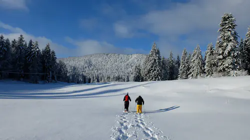 Snowshoeing in Switzerland: 1-day adventure in the Jura Mountains