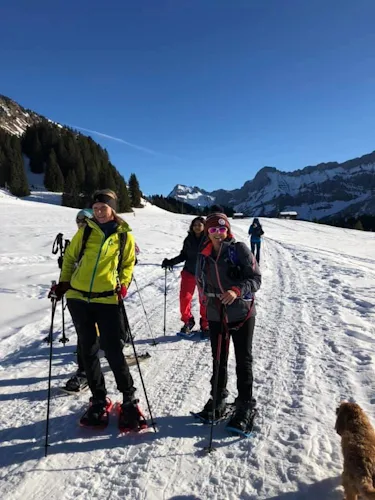 Snowshoeing in the Swiss Alps