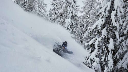 Powder hunt: 3 days freeride skiing in the Alps