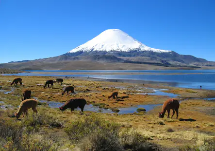 Parinacota Climb, 11-day ascent in the Bolivian Andes