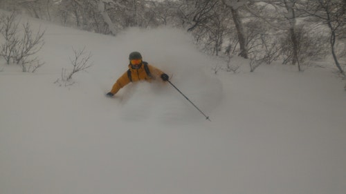 Niseko ski: 1 day off piste skiing in Hokkaido