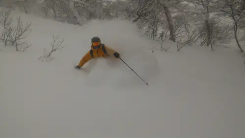 Esquí en Niseko: 1 día de esquí fuera de pista en Hokkaido