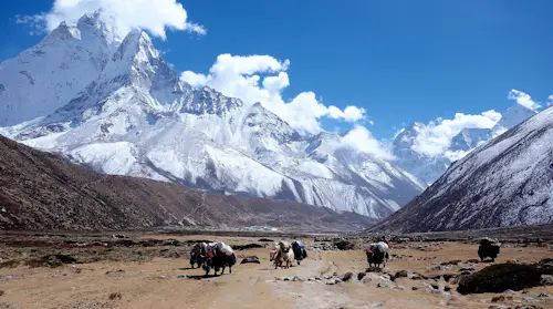 Pikey Peak Trek from Kathmandu, Nepal (10 days)