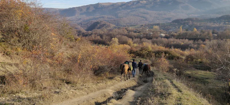 Horseback riding to the Kakheti vineyards in Georgia