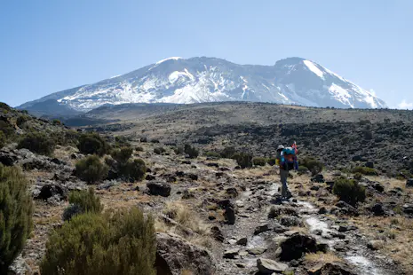 Kilimanjaro and Safari via Lemosho route (11 days)