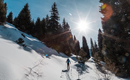Kyrgyzstan & Kazakhstan skiing in 14 days