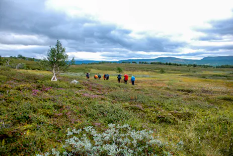 Hiking in Sweden: 3 days in Vålådalen Nature Reserve, Jämtland
