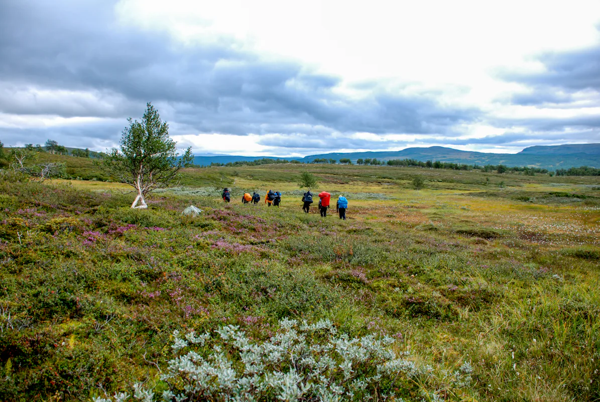 Hiking in Sweden: 3 days in Vålådalen Nature Reserve, Jämtland | Sweden