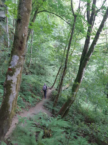 Semois valley, 1-day hiking in Belgium