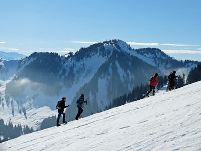 Snowshoeing in the Jura Mountains, from Montreux and Geneva