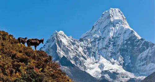 Everest Base Camp Trek in 12 days, from Kathmandu