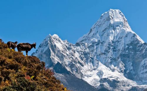 Everest Base Camp Trek in 12 days, from Kathmandu